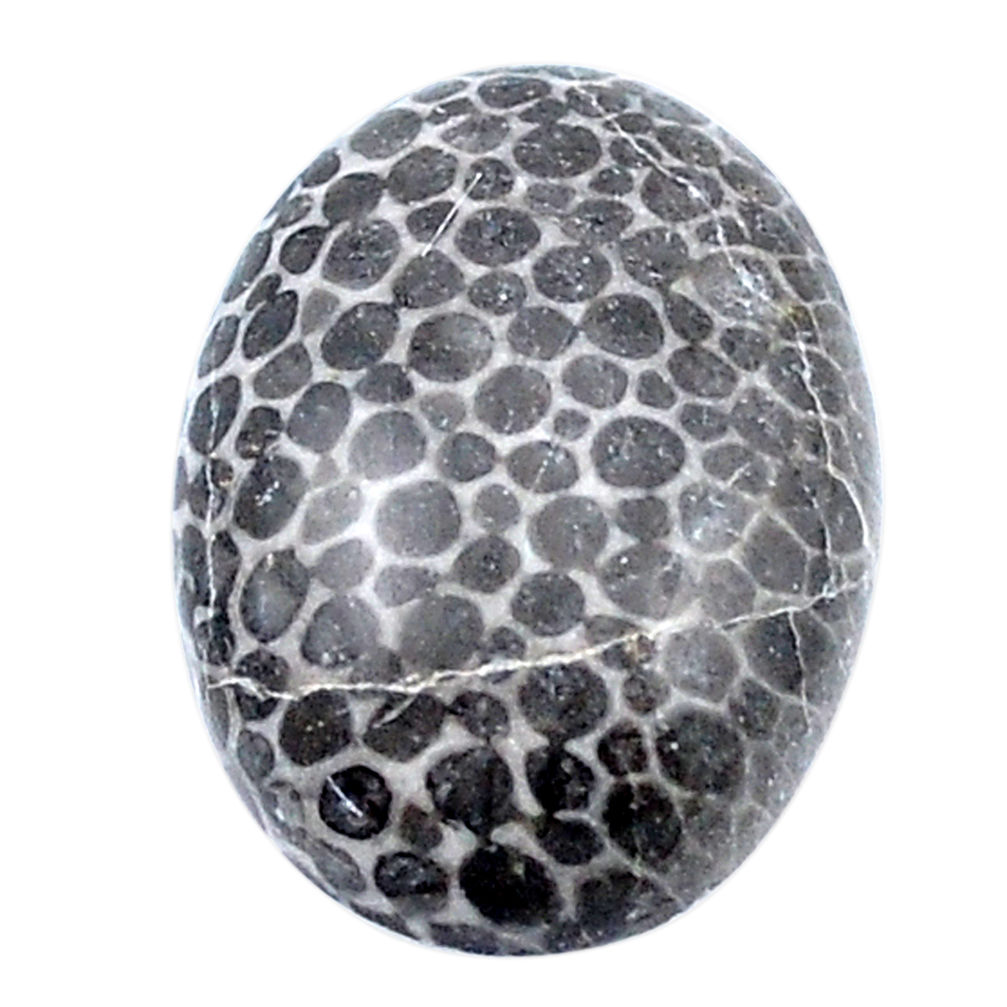 Black sales coral gemstone
