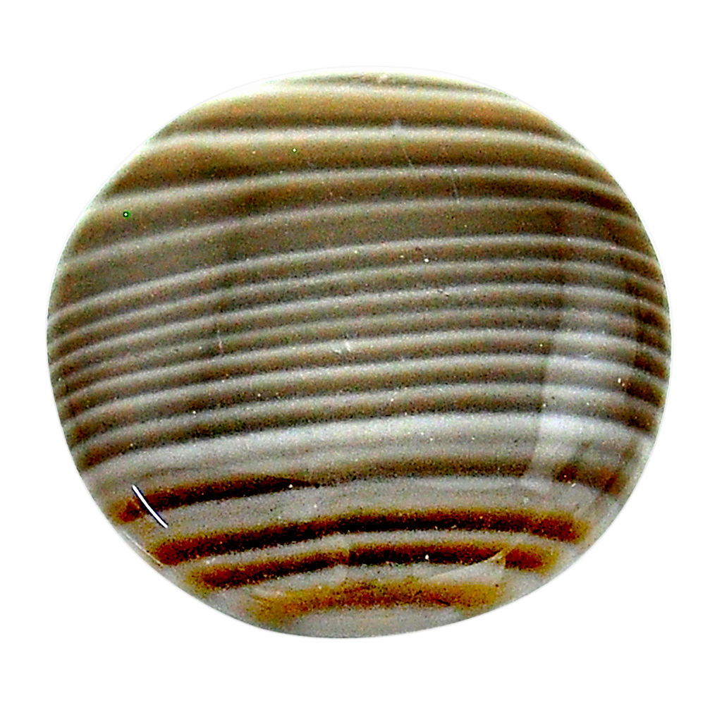 Natural 21.30cts striped flint ohio grey 22x22 mm round loose gemstone s23213