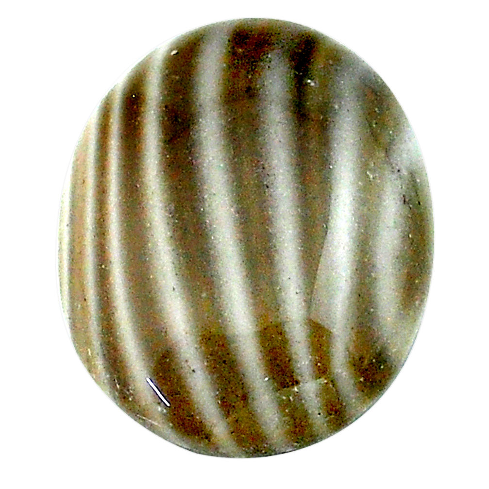 Natural 15.15cts striped flint ohio grey cabochon 21x16 mm loose gemstone s23216