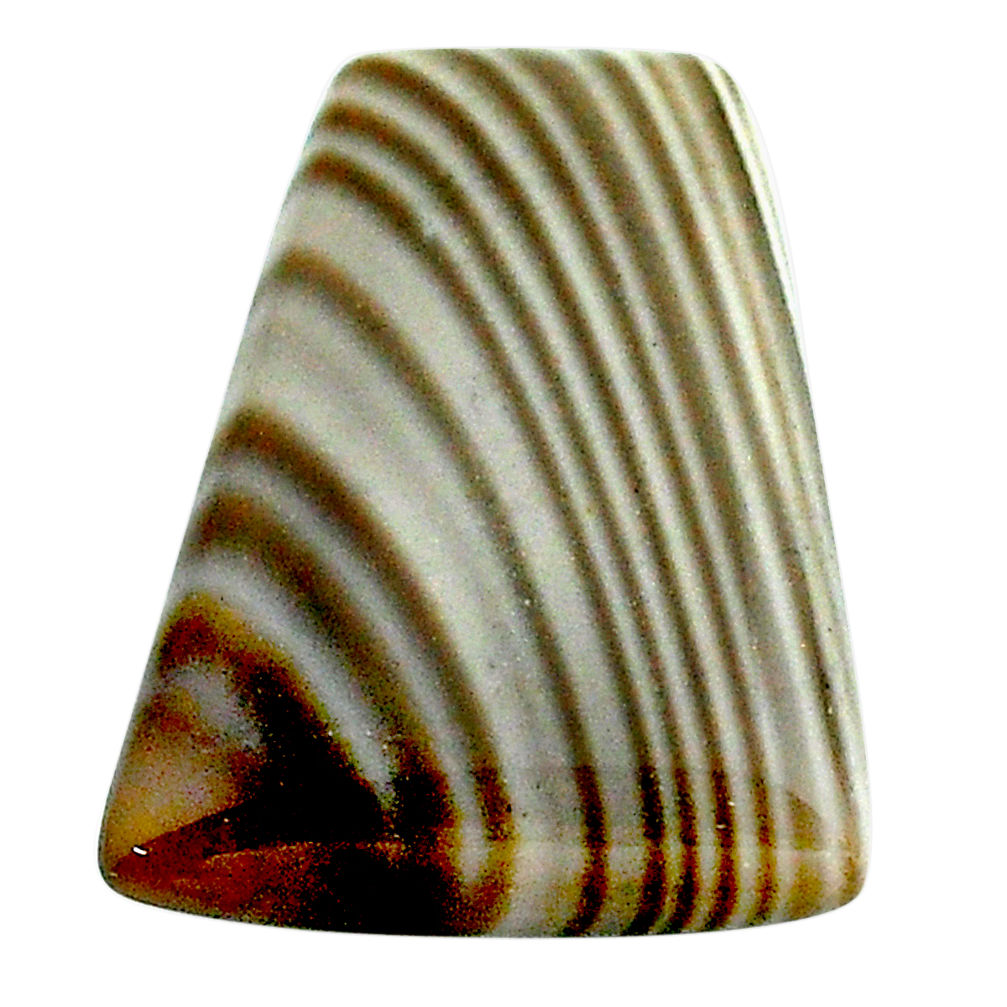 Natural 18.10cts striped flint ohio grey cabochon 23x18 mm loose gemstone s23206