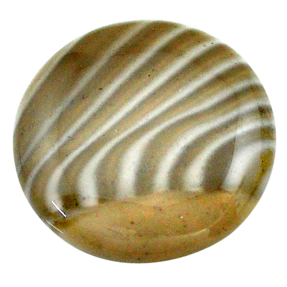 Natural 24.35cts striped flint ohio grey cabochon 23x23 mm loose gemstone s23182