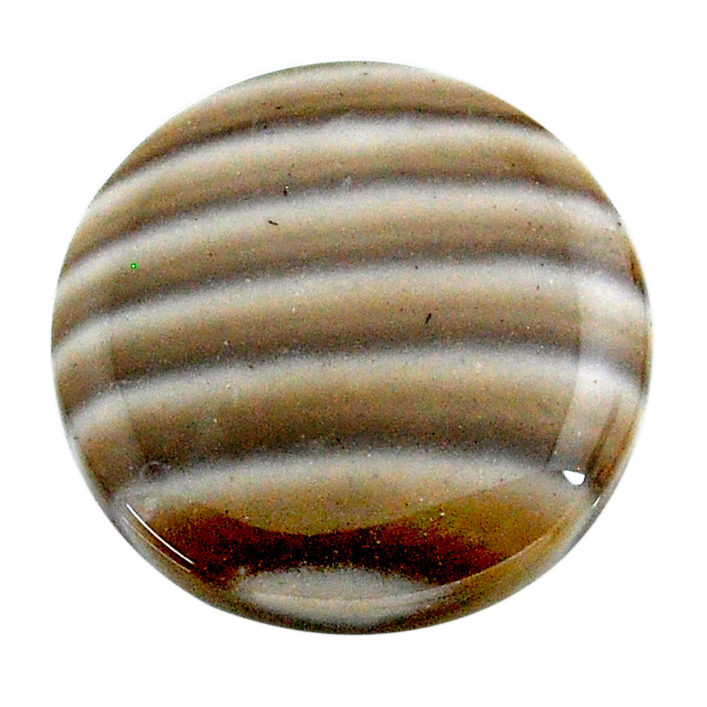 Natural 24.35cts striped flint ohio grey cabochon 23x23 mm loose gemstone s24493