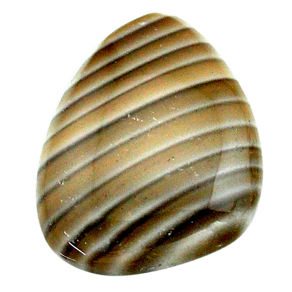 Natural 17.30cts striped flint ohio grey cabochon 24x18 mm loose gemstone s23191