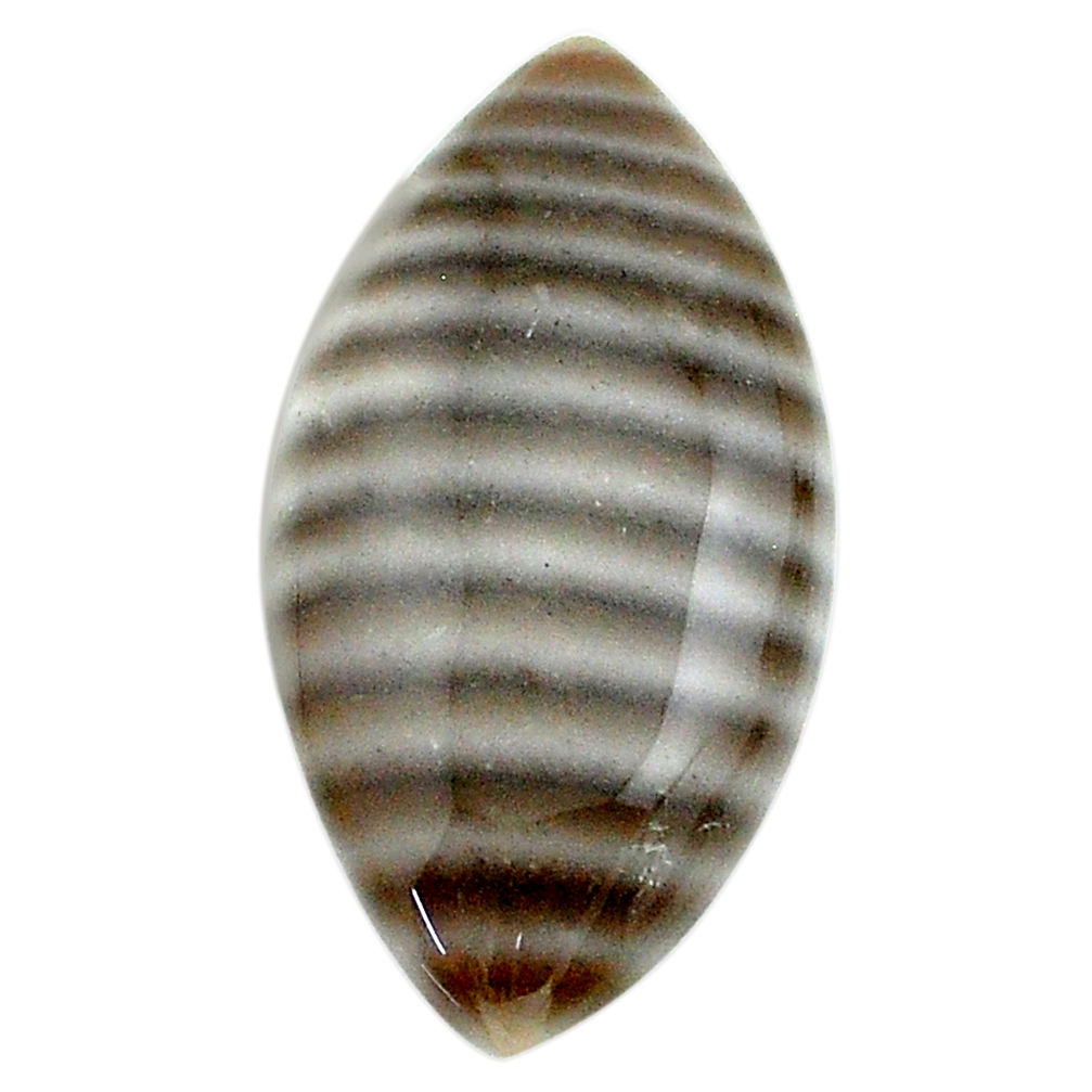 Natural 18.10cts striped flint ohio grey cabochon 29x14 mm loose gemstone s23200