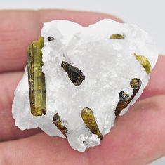 Natural 111.30cts tourmaline in quartz green rough 36x18mm loose gemstone s19052