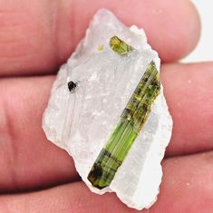Natural 52.40cts tourmaline in quartz green rough 36x21 mm loose gemstone s19046
