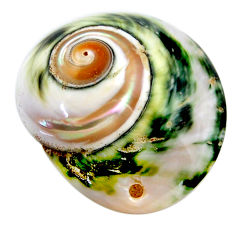 Natural 44.45cts turbo seashell green cabochon 33.5x28 mm loose gemstone s18941