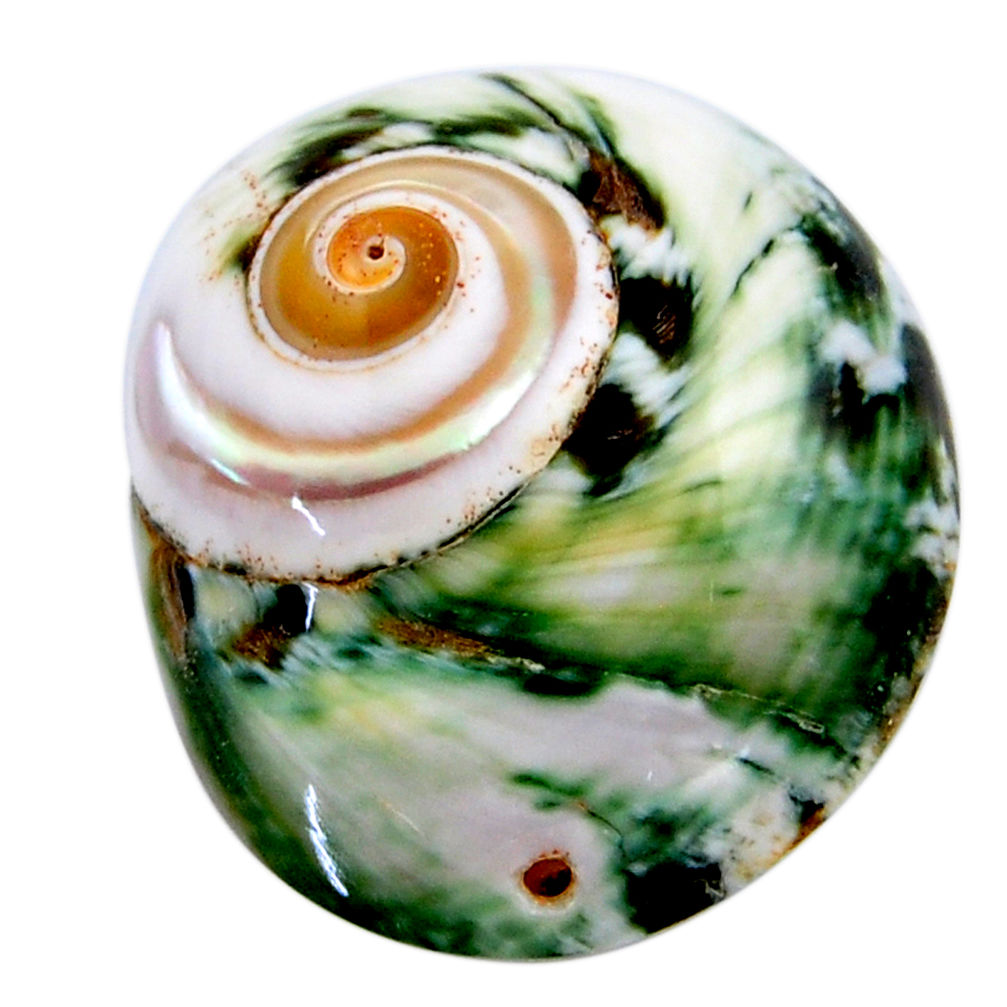 Natural 42.40cts turbo seashell green cabochon 34x28.5 mm loose gemstone s18955