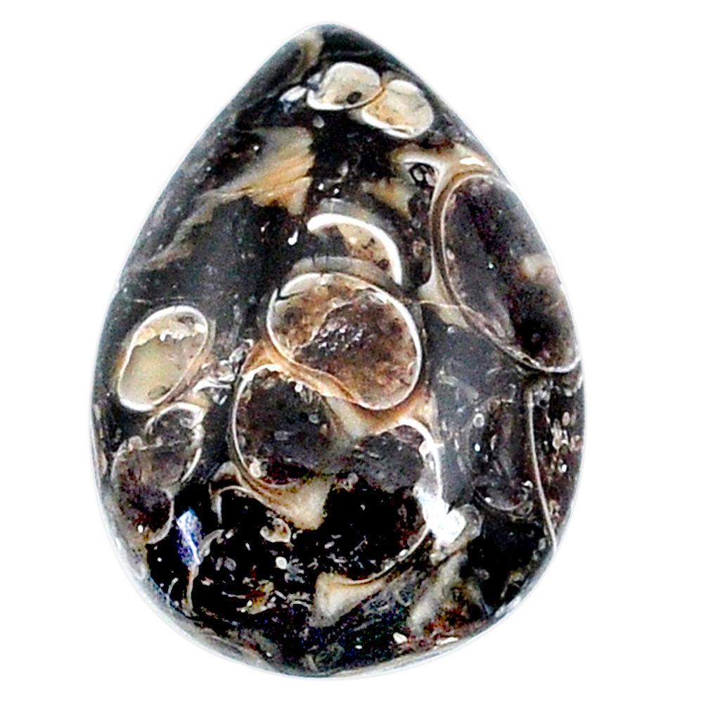 Natural 19.35cts turritella fossil agate 26x18 mm pear loose gemstone s21145