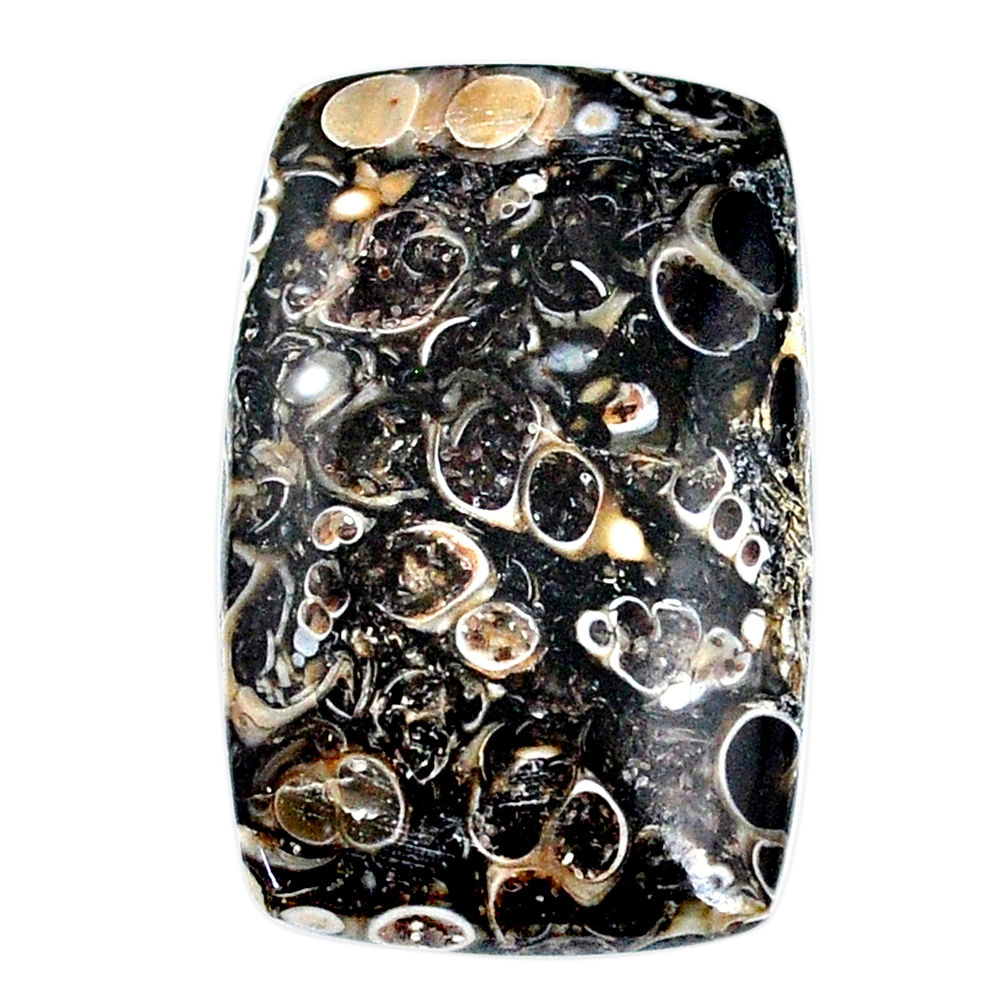 Natural 36.30cts turritella fossil agate 34x22 mm octagan loose gemstone s21152