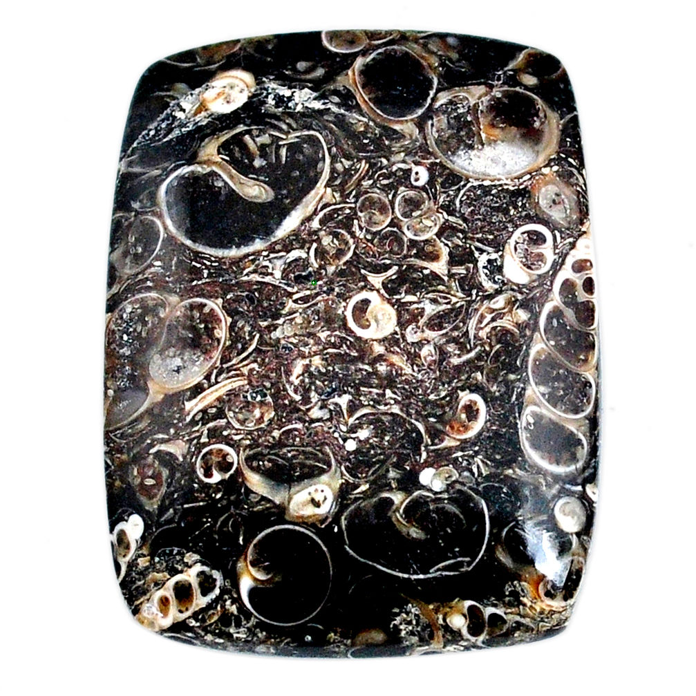 Natural 64.35cts turritella fossil agate 39x29 mm octagan loose gemstone s21153