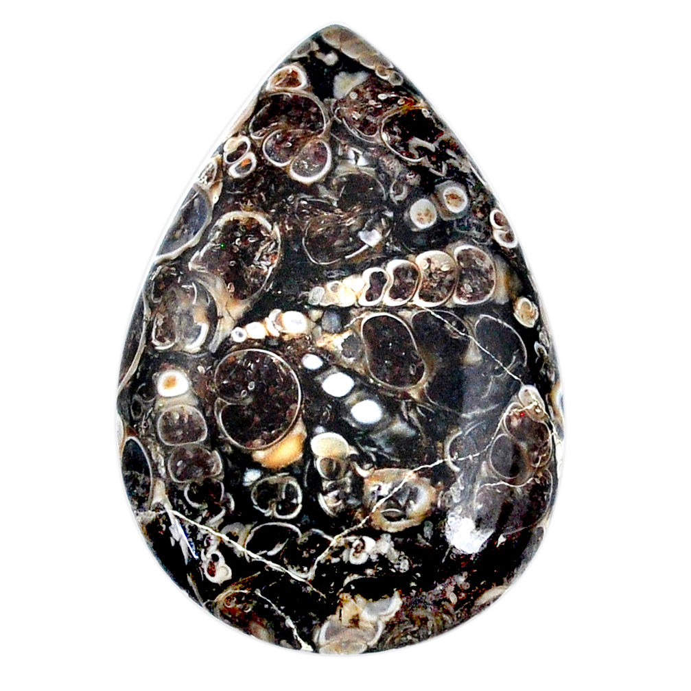 Natural 49.35cts turritella fossil agate 42.5x28 mm pear loose gemstone s21144