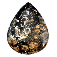 Natural 51.30cts turritella fossil agate 45x33mm pear loose gemstone s21142