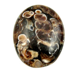 Natural 19.10cts turritella fossil snail agate 24x18 mm loose gemstone s16986