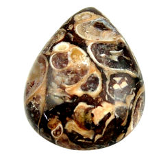 Natural 18.05cts turritella fossil snail agate 24x18 mm loose gemstone s16992