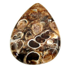 Natural 14.90cts turritella fossil snail agate 25x18.5 mm loose gemstone s16991