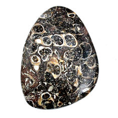 Natural 46.25cts turritella fossil snail agate 43x30 mm loose gemstone s21143