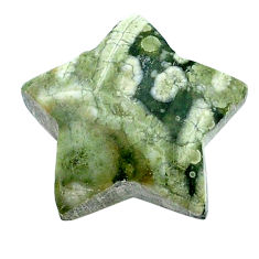 15.10cts rainforest rhyolite jasper 20x20 mm star fish loose gemstone s26988