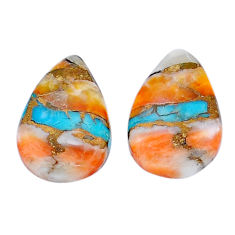 11.30cts spiny oyster arizona turquoise 17x11 mm pair loose gemstone s29386