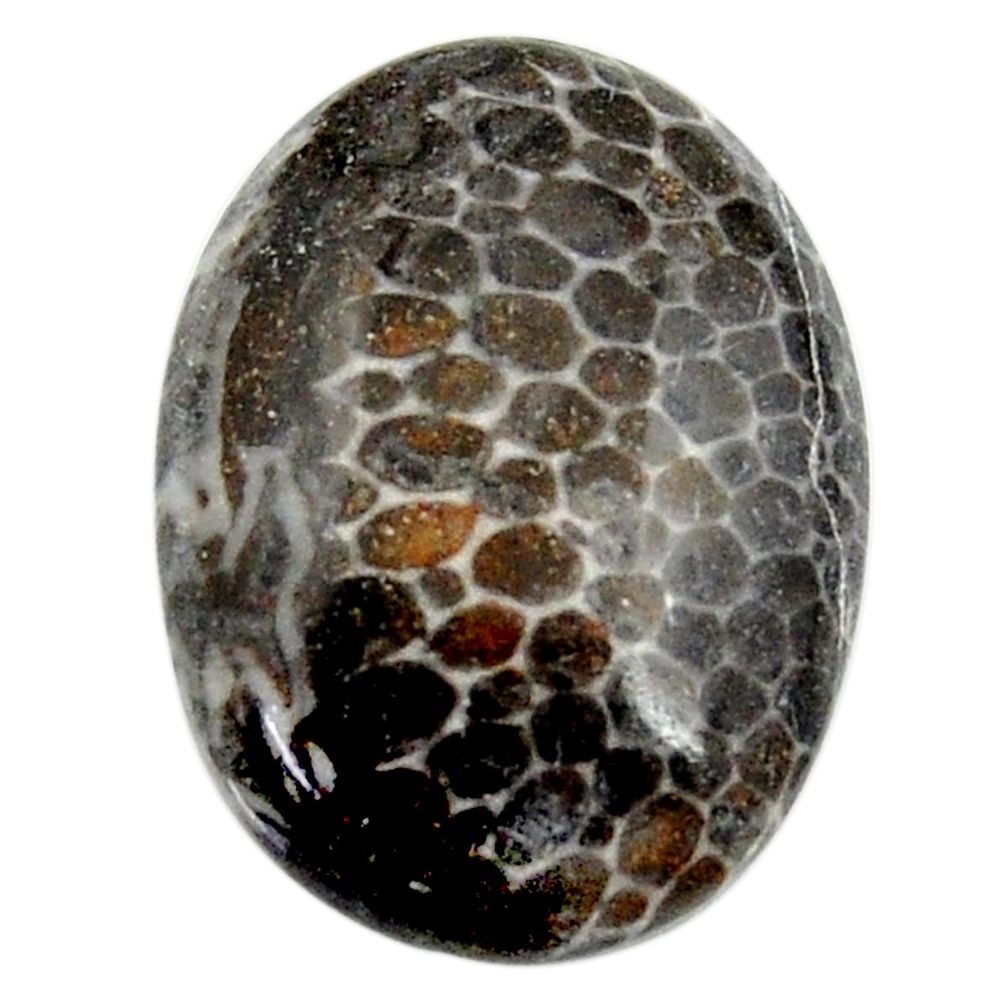 12.35cts stingray coral alaska black 20x15 mm oval loose gemstone s18765