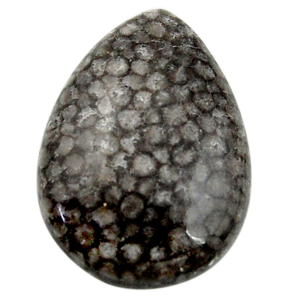 18.25cts stingray coral alaska black cabochon 24x17mm pear loose gemstone s18777