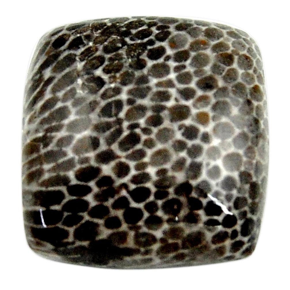 24.45cts stingray coral alaska cabochon 20x20 mm octagan loose gemstone s18767