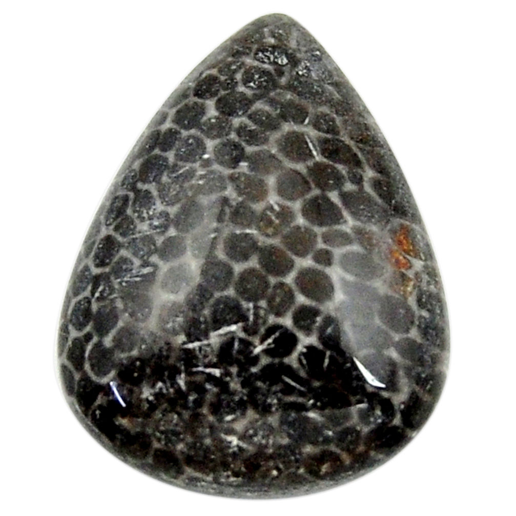 15.10cts stingray coral alaska cabochon 22x17 mm pear loose gemstone s18780