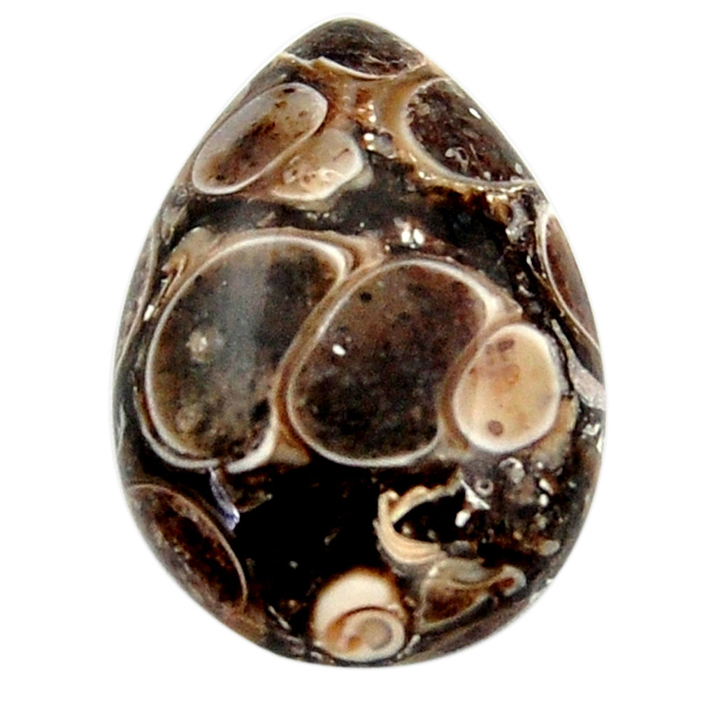 14.30cts turritella fossil agate brown 22x15.5 mm pear loose gemstone s18754
