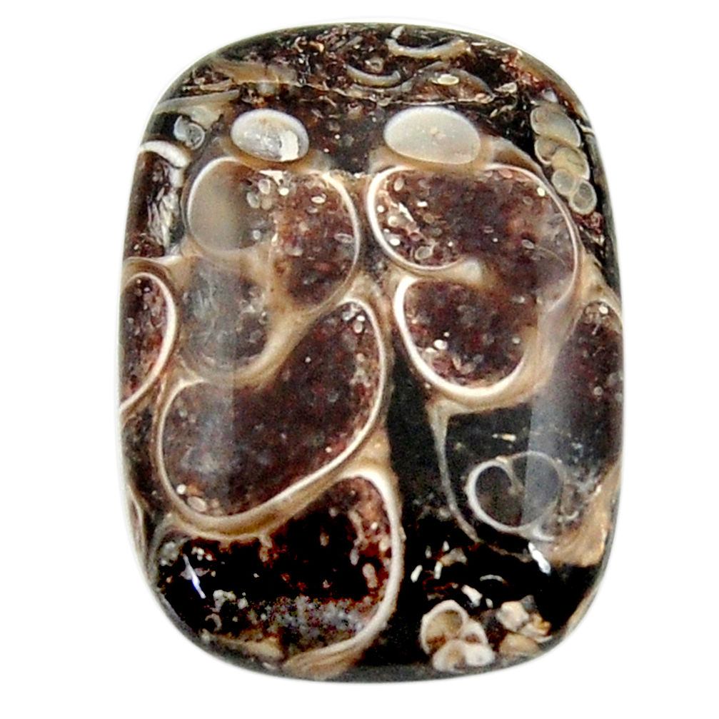 18.10cts turritella fossil agate brown 24x17.5 mm octagan loose gemstone s18748