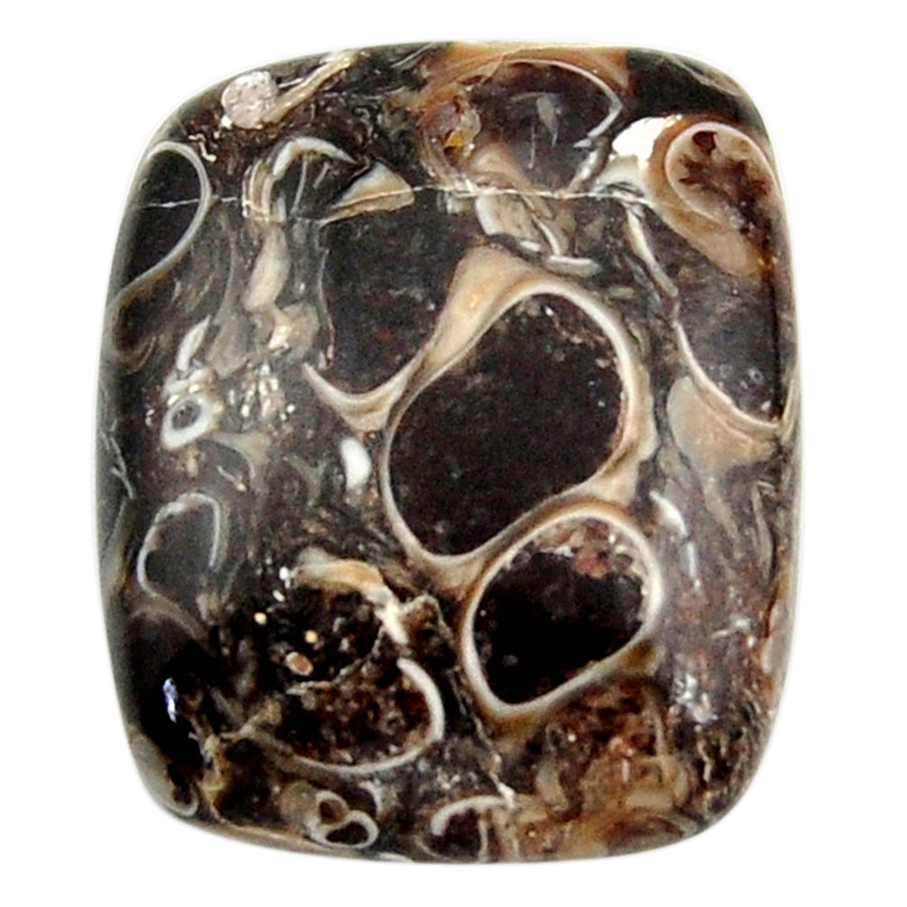 17.40cts turritella fossil agate cabochon 21x17 mm octagan loose gemstone s18758