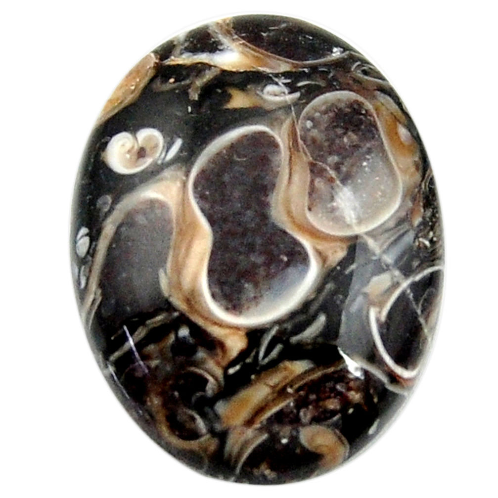 17.40cts turritella fossil agate cabochon 22.5x17 mm oval loose gemstone s18746