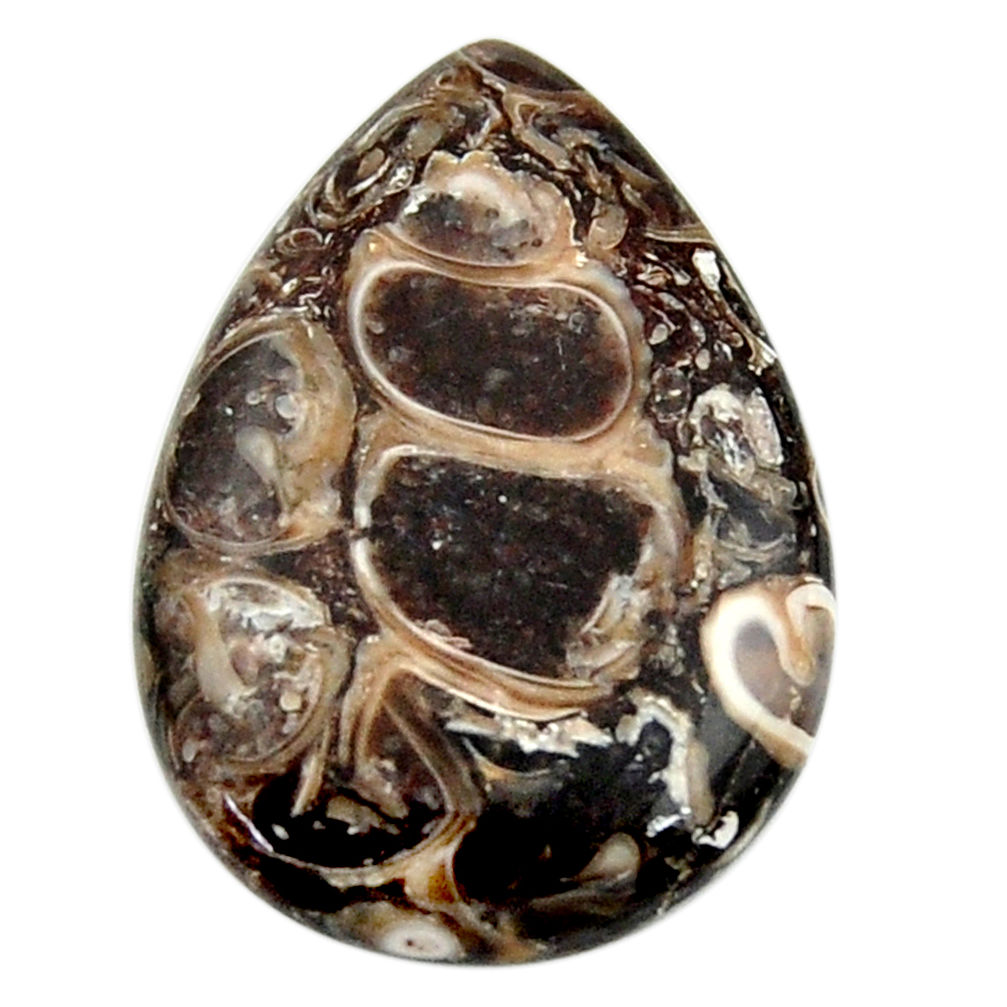 15.10cts turritella fossil agate cabochon 24x17mm pear loose gemstone s18759