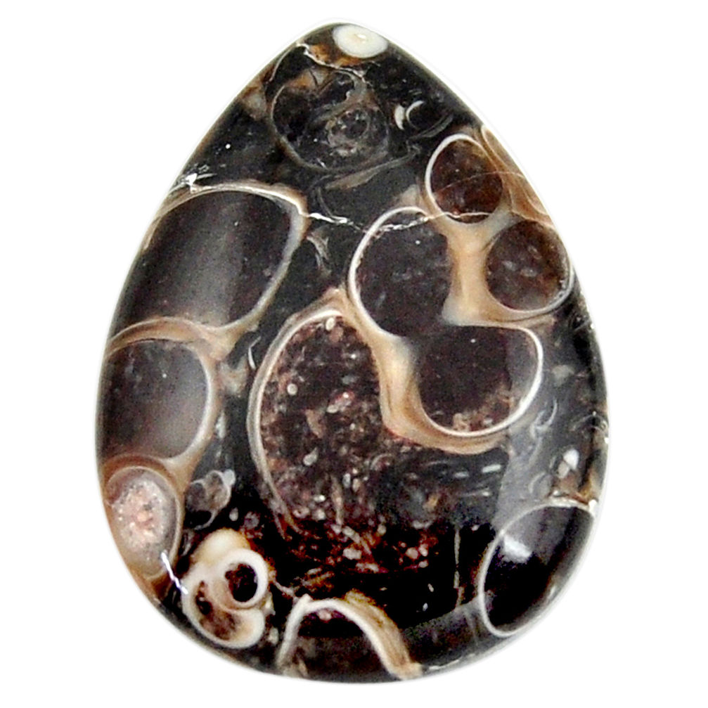 15.15cts turritella fossil agate cabochon 25x18.5 mm pear loose gemstone s18743