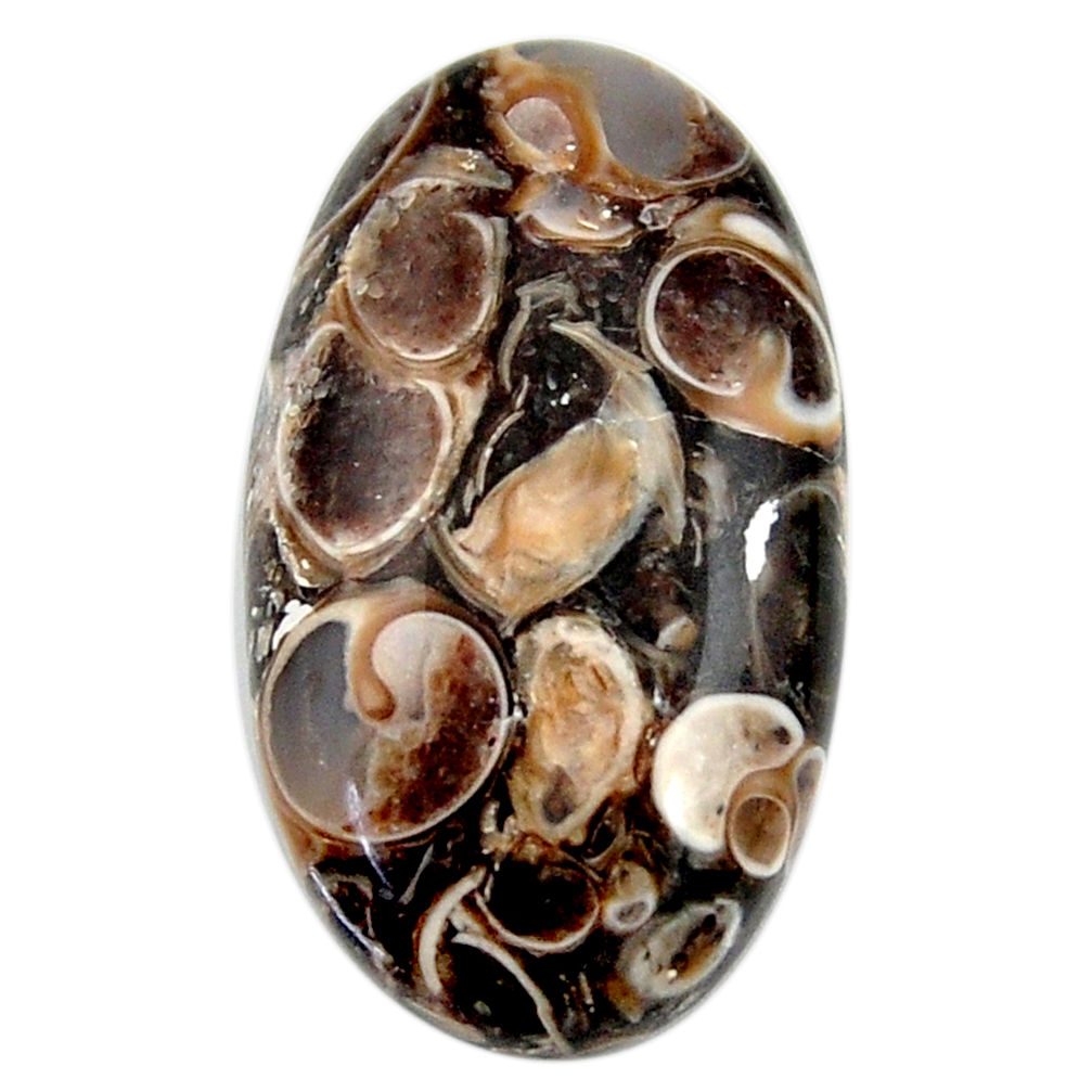 24.35cts turritella fossil agate cabochon 28x16mm oval loose gemstone s18760