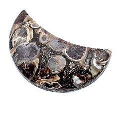 10.35cts turritella fossil snail agate 20x10 mm fancy moon loose gemstone s26970