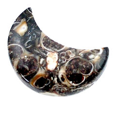 10.30cts turritella fossil snail agate 20x10 mm moon loose gemstone s26967