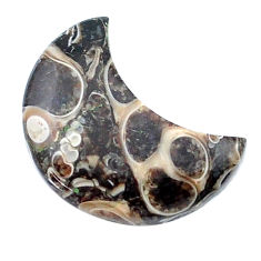 10.15cts turritella fossil snail agate 20x10.5 mm moon loose gemstone s26962