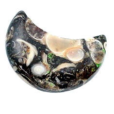 10.30cts turritella fossil snail agate 20x10.5 mm moon loose gemstone s26965