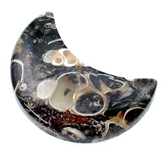 10.25cts turritella fossil snail agate brown 20x10 mm moon loose gemstone s26964