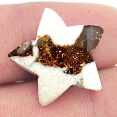 17.60cts wild horse magnesite bronze 20x20 mm star fish loose gemstone s27089