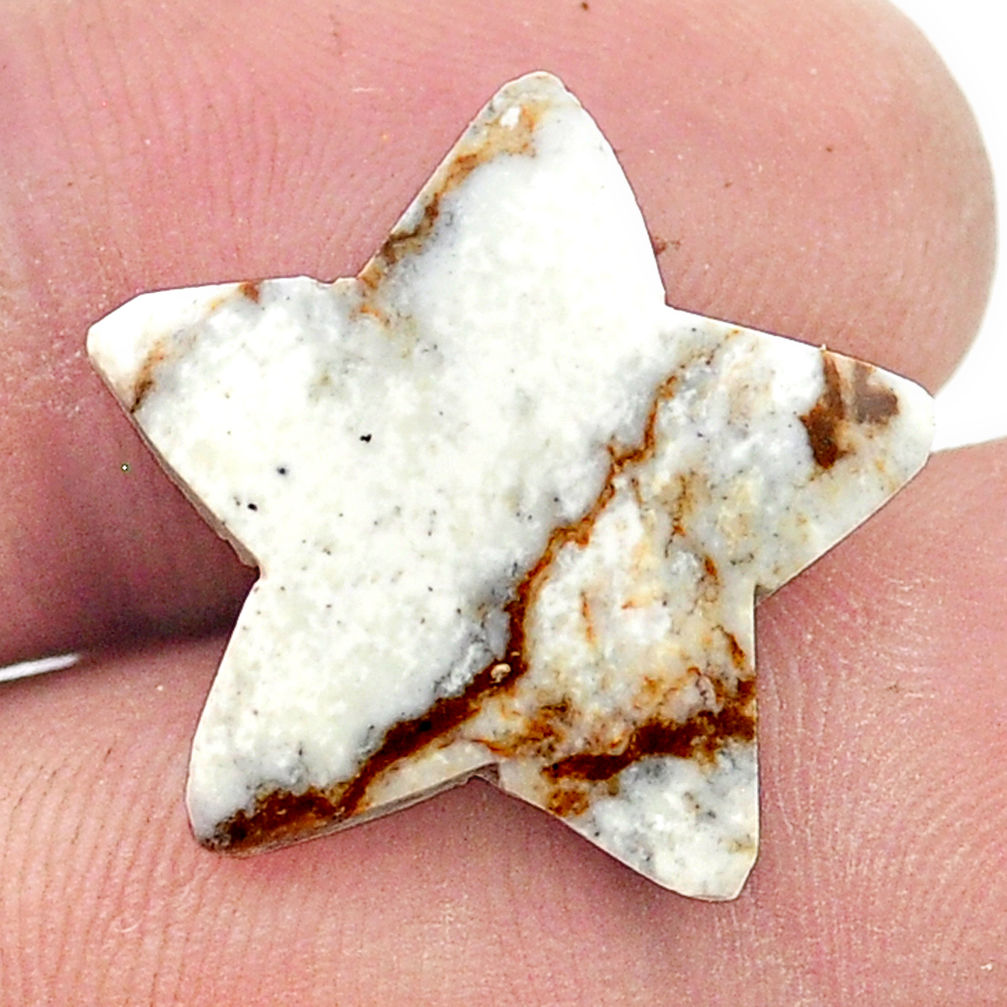 4.06cts wild horse magnesite bronze 20x20 mm star fish loose gemstone s27090