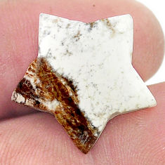 12.55cts wild horse magnesite bronze 20x20 mm star fish loose gemstone s27091