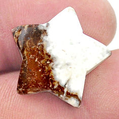 15.10cts wild horse magnesite bronze 20x20 mm star fish loose gemstone s27092