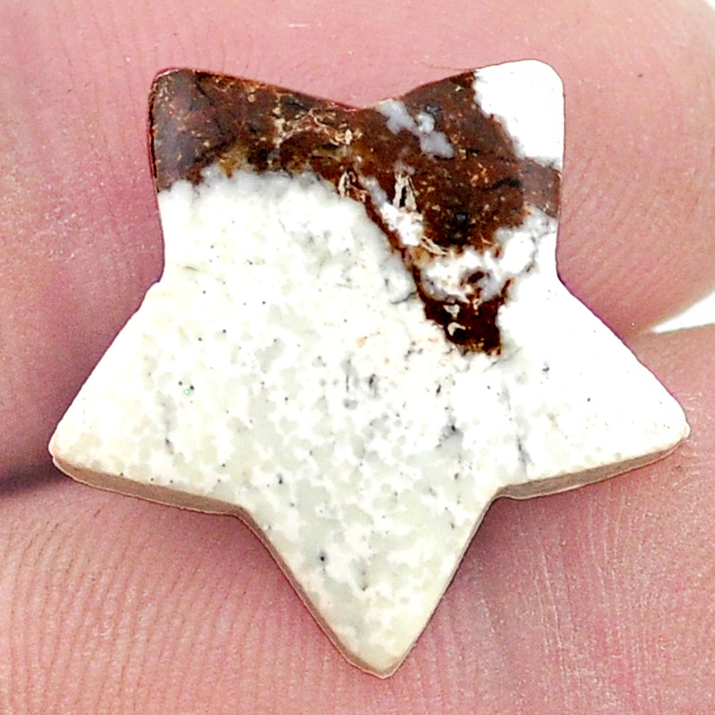 15.30cts wild horse magnesite bronze 20x20 mm star fish loose gemstone s27093