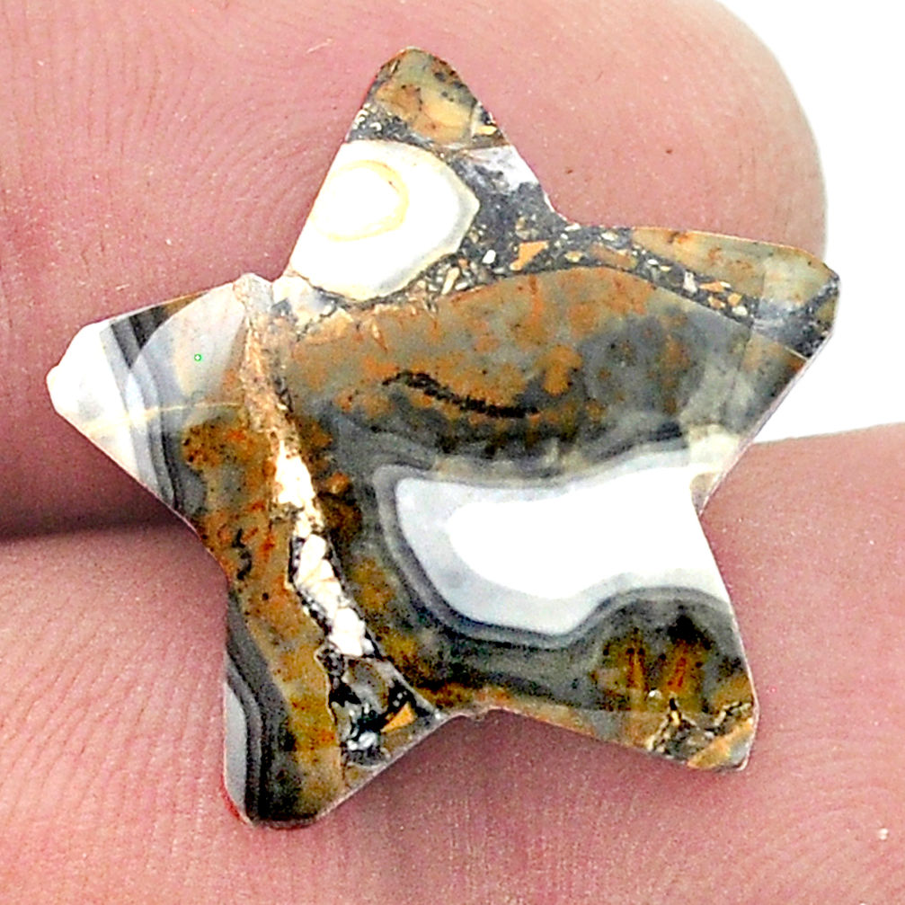 15.35cts wild horse magnesite bronze 20x20 mm star fish loose gemstone s27100