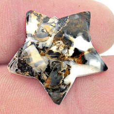 17.80cts wild horse magnesite bronze 22.5x22 mm star fish loose gemstone s27094