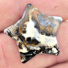 20.10cts wild horse magnesite bronze 23.5x23.5mm star fish loose gemstone s27095