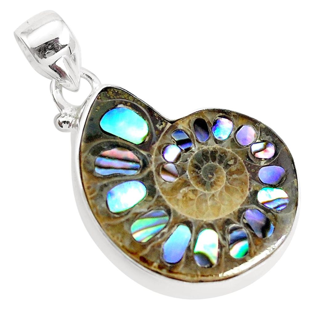 925 silver 17.95cts natural multi color abalone in ammonite pendant p35850