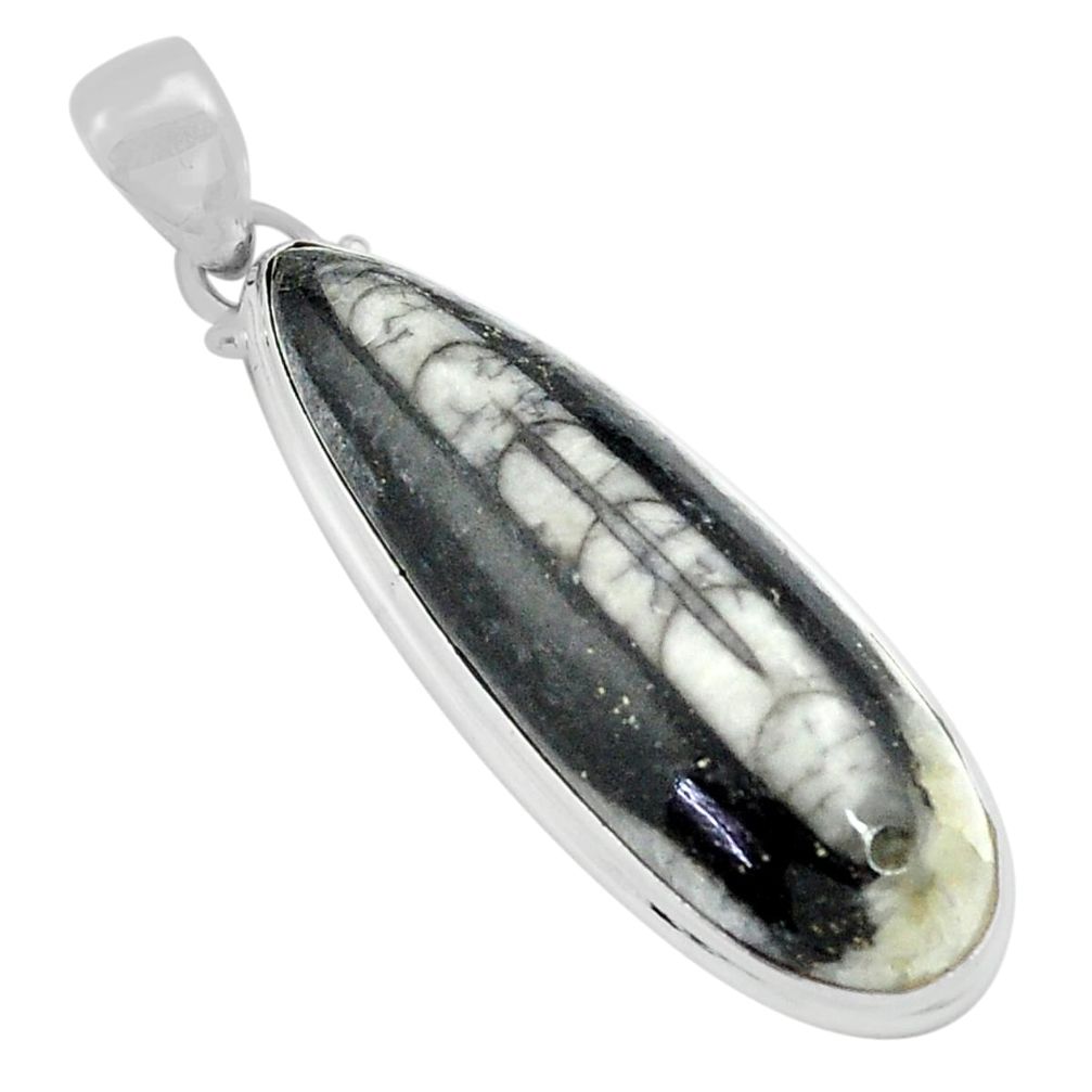 925 sterling silver 23.46cts natural black orthoceras pear pendant p80457