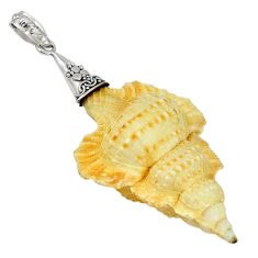 Natural white turbo seashell 925 sterling silver pendant jewelry d5319